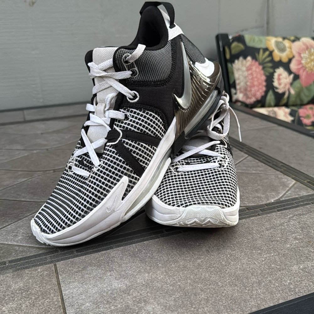 Nike Lebron witness shoe